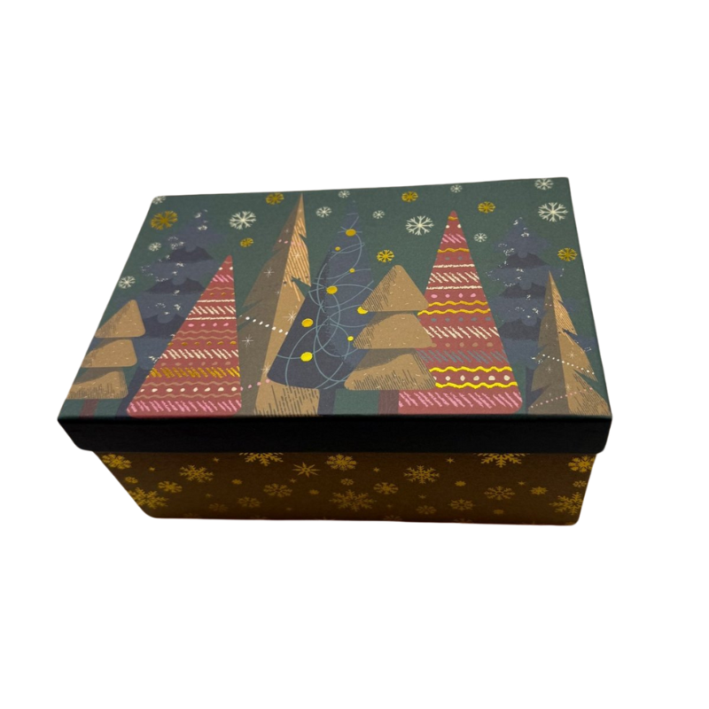 Boîte Cadeau -Rectangulaire -Noël -Sapins Noêl